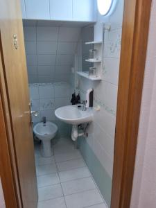 a bathroom with a sink and a toilet at Turistična kmetija Sušek in Muta +35 photos
