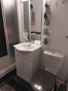 a bathroom with a toilet and a sink and a shower at Le Grand Large in Gruissan