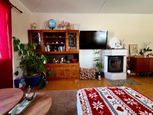 a living room with a television and a fireplace at Nordic Quiet Stay in Falun