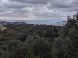 a view of the ocean from a hill with trees at Bee happy in Agioi Apostoli