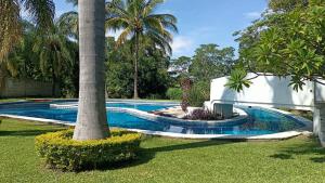 a swimming pool with a palm tree in a yard at Quinta Corona Hospedaje Familiar in Oaxtepec