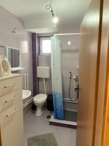 a small bathroom with a toilet and a shower at BiSER PANČIĆA in Sekulić  +24 photos