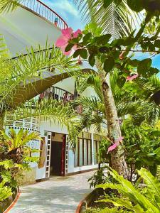 a palm tree in front of a building at Placido's Vacation Home in Puerto Galera