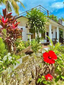 a house with red flowers in front of it at Placido's Vacation Home in Puerto Galera
