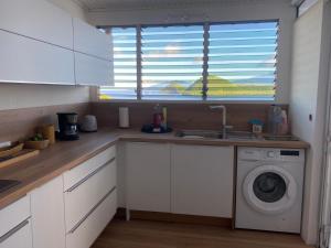 a kitchen with a sink and a washing machine at La Sucrière in Terre-de-Haut +7 photos
