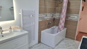 a bathroom with a shower and a tub and a sink at Chez Mémère Paulette in Châtres-sur-Cher +23 photos