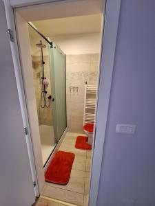 a bathroom with a shower and a toilet with red rugs at Villa Vino & Grad in Zagreb