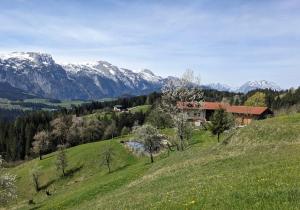 a house on a hill with mountains in the background at Hörndlhof in Abtenau
