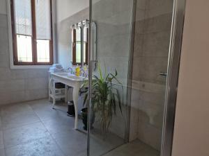 a bathroom with a shower and a sink at Palais de Luppé, Chambre d'hôtes in Arles +79 photos