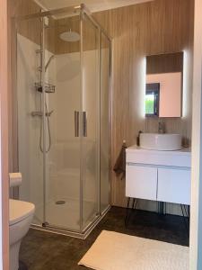 a bathroom with a shower and a toilet and a sink at Tiny House le Cocon de Jardin in Saverne