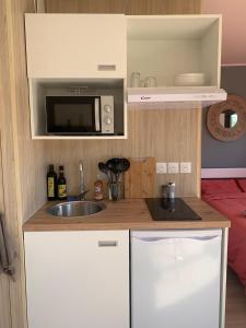 a small kitchen with a sink and a microwave at Tiny House le Cocon de Jardin in Saverne