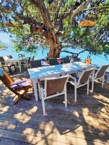 a table and chairs under a tree near the water at Mavi Akvaryum Pension in Sogut