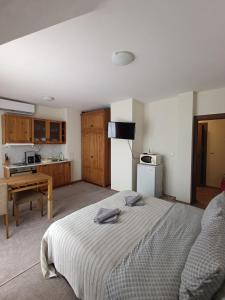 a bedroom with a large bed and a kitchen at Studio in Murphys Lodge in Bansko