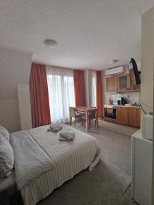 a hotel room with a bed and a table at Studio in Murphys Lodge in Bansko +9 photos