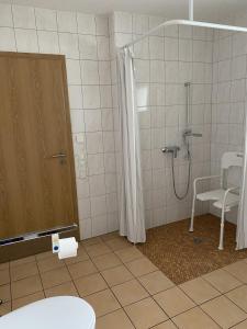 a bathroom with a shower and a toilet at Barrierefreie Ferienwohnung in Bad Windsheim