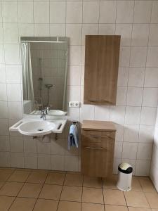 a bathroom with a sink and a mirror at Barrierefreie Ferienwohnung in Bad Windsheim