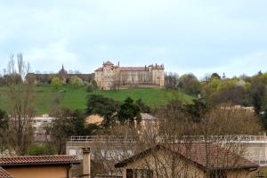a large castle on top of a hill with trees at Hammam du château in Francheville