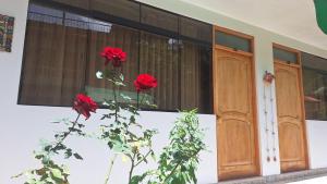two red roses on a wall in front of a building at Kenti's Home Ollantaytambo in Ollantaytambo +48 photos
