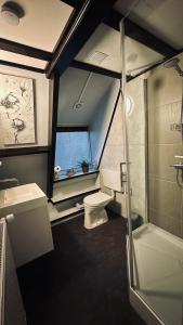 a bathroom with a toilet and a sink and a shower at Villa Edice met zwembad en restaurant in Durbuy - honden toegelaten in Durbuy