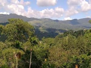 a view of a forest with mountains in the background at Thanayama Deniyaya in Deniyaya