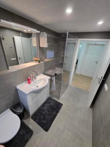 a bathroom with a sink and a toilet and a shower at Apartment an der Prims Nalbach in Nalbach