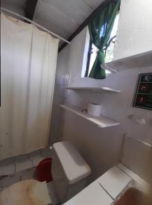 a small bathroom with a toilet and a window at Lodge France Amazonia in Puerto Misahuallí +57 photos