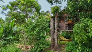 a tree house in the middle of the forest at Ecofazenda Lodge in Bofete