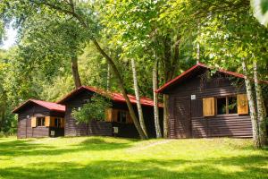 a small wooden cabin in the middle of a forest at Autocamp Kosmonosy in Mladá Boleslav