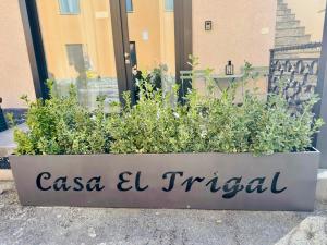 a pot of plants in front of a building at Casa El Trigal in Colico
