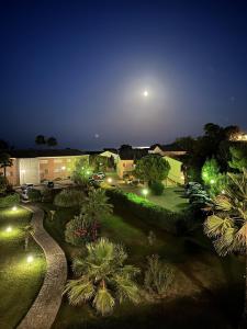 a garden with palm trees and lights at night at Corse Appartement Sognu di Mar Marine de Bravonne à Linguizzetta in Linguizzetta