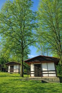 a small building with a tree in the grass at Autocamp Kosmonosy in Mladá Boleslav
