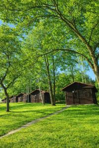 a group of huts in a field with trees at Autocamp Kosmonosy in Mladá Boleslav +18 photos