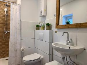 a bathroom with a sink and a toilet and a mirror at Apartment Mira 13 in Pulheim