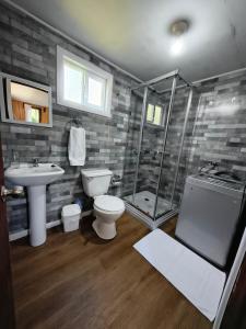 a bathroom with a shower and a toilet and a sink at Cabañas CyG - Chaitén in Chaitén +17 photos