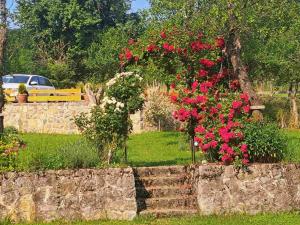 a garden with pink flowers on a stone wall at Domacinstvo Majovac in Drenova +2 photos