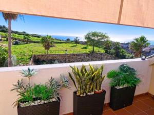 a balcony with three potted plants on a wall at NEW Duplex Penthouse, Spectacular Ocean View in Manilva