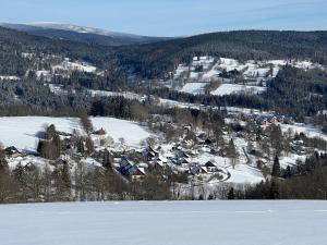 a small village in the snow with a mountain at Aldrovské Trio in Vítkovice