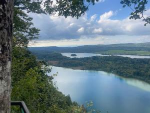 a view of a lake from a tree at Gîte Le Hérisson calme, nature & jacuzzi-Les gîtes de la perle de Vouglans- in Cernon