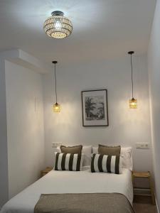 a bedroom with a large white bed with two pillows at Hurtado Siete in Jaén +33 photos