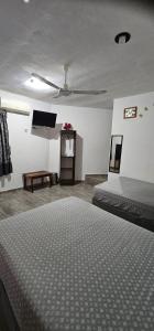 a bedroom with two beds and a ceiling fan at Posada "Las Palmeras" in Dzilam de Bravo