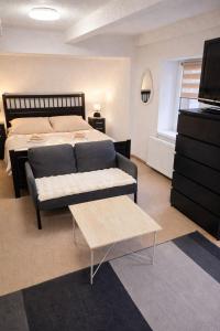 a bedroom with a bed and a couch and a tv at hostinec Thérése in Petrovice