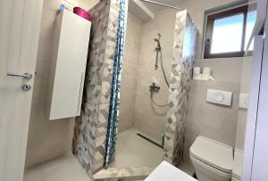 a bathroom with a shower and a toilet at Pista house in Beograd +6 photos