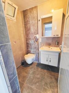 a bathroom with a toilet and a sink at Mavi Akvaryum Pension in Sogut