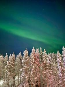 a group of trees covered in snow with the aurora in the sky at Levi City Suite - Central & Stylish with Free Ski Passes in Levi
