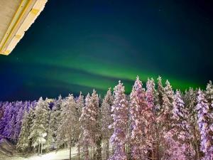an infrared photo of a forest of trees with the auriga at Levi City Suite - Central & Stylish with Free Ski Passes in Levi