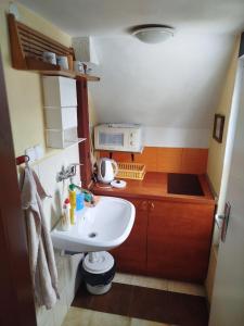 a small bathroom with a sink and a microwave at Perníčka in Leštiny