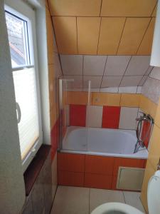 a bathroom with a tub and a toilet at Perníčka in Leštiny