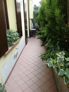 Zahrada ubytování B&b Rosy