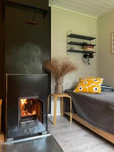 Gallery image of Lumoava Saarimökki in Pietarsaari +50 photos