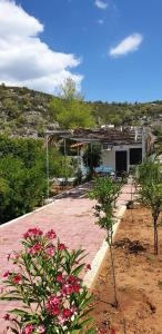 a house with a patio and some pink flowers at Villa Macky Cottage in Kato Almiri